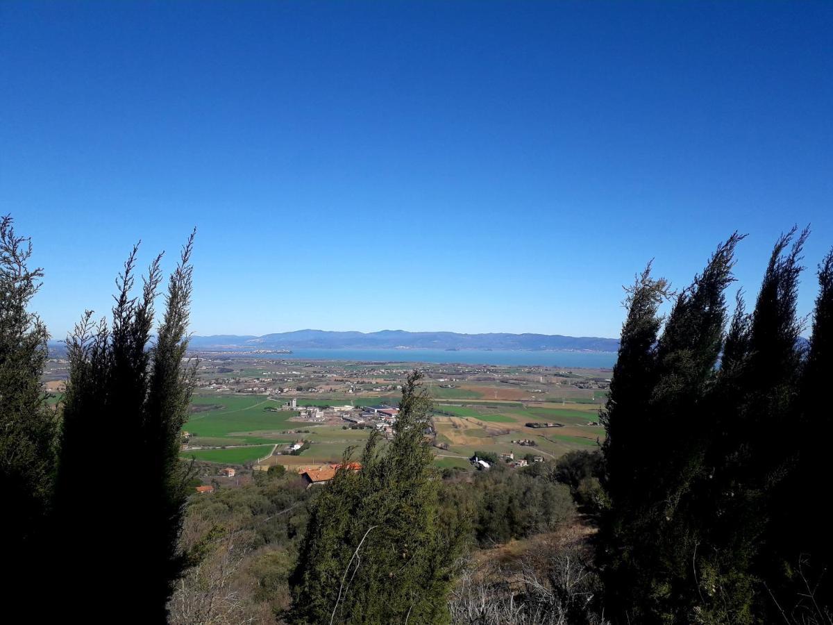 Villa Il Vecchio Frantoio à Panicale Extérieur photo